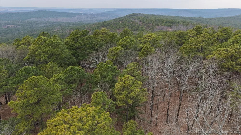 NE 1060 Panola, OK 74559