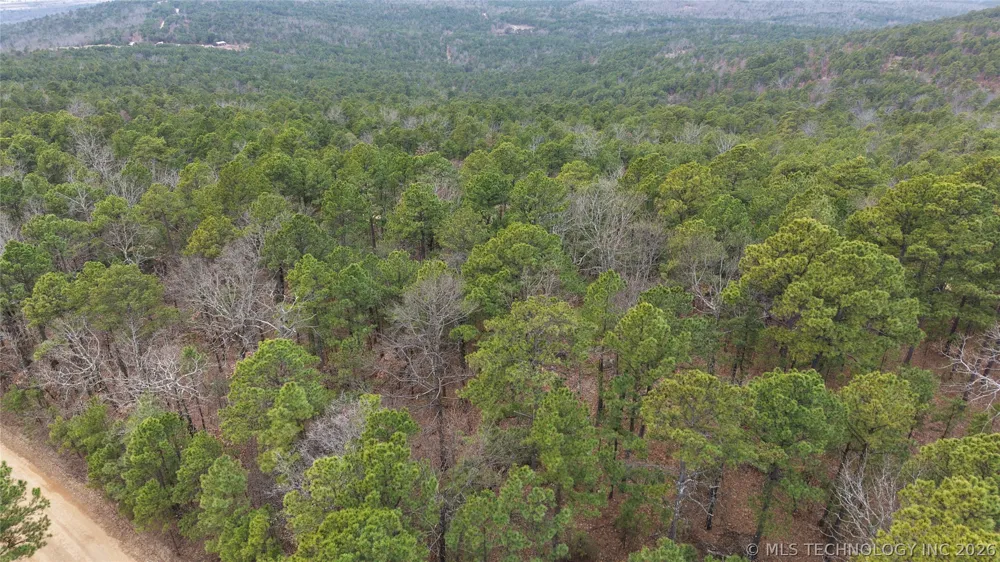 NE 1060 Panola, OK 74559