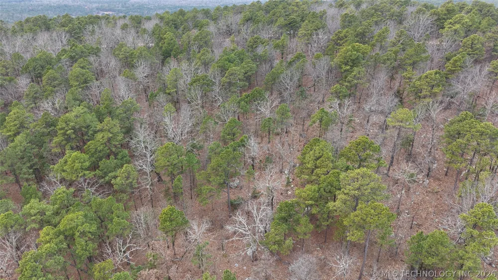 NE 1060 Panola, OK 74559