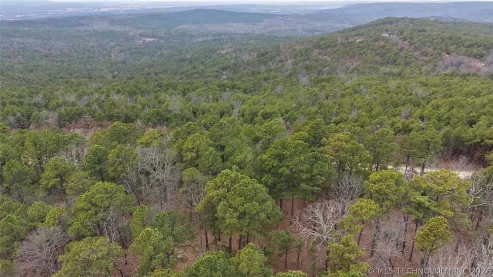 NE 1060 Panola, OK 74559