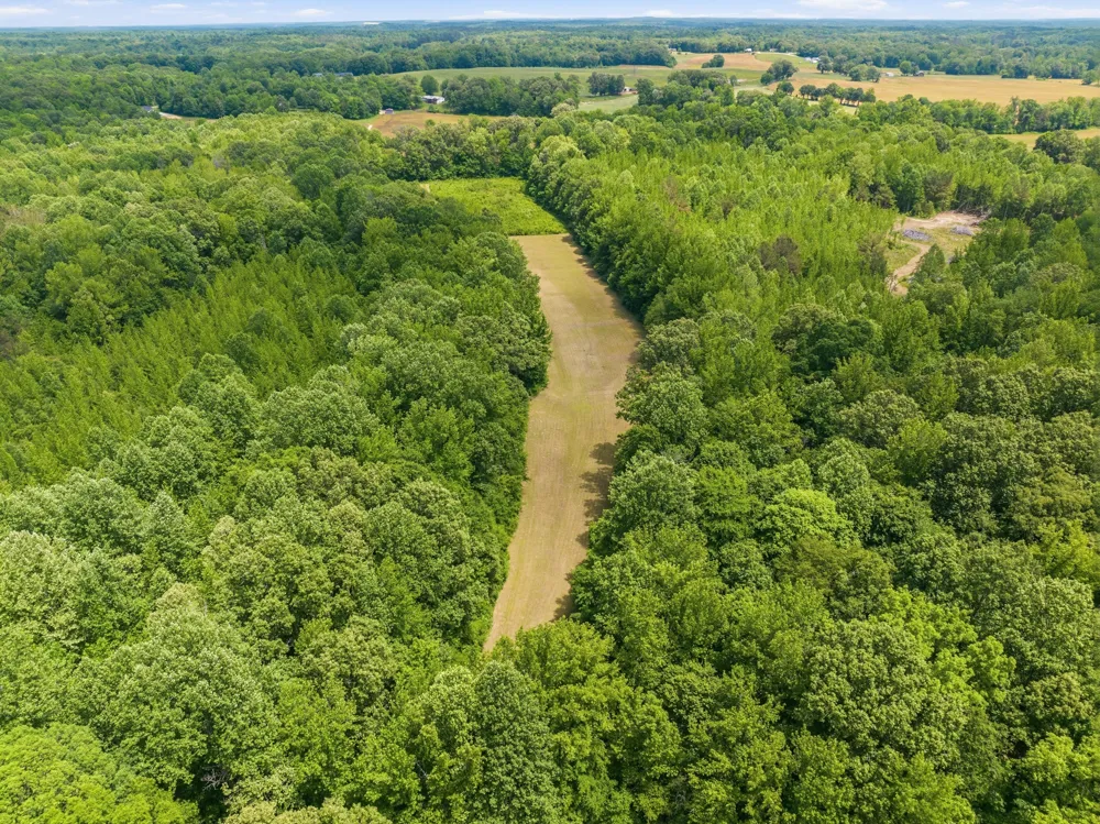 4110 Corinth Rd Lexington, TN 38351