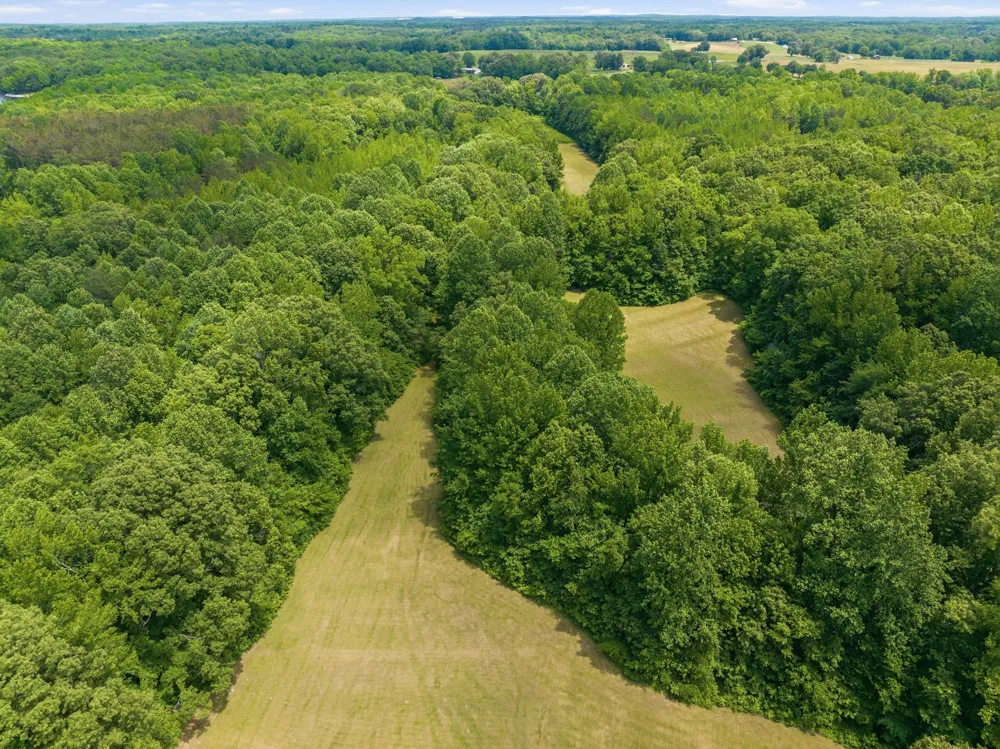 4110 Corinth Rd Lexington, TN 38351