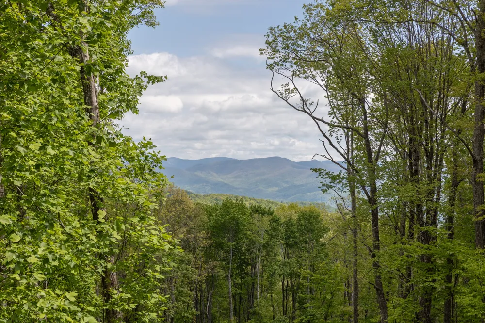 C47 Roaming Road Glenville, NC 28736