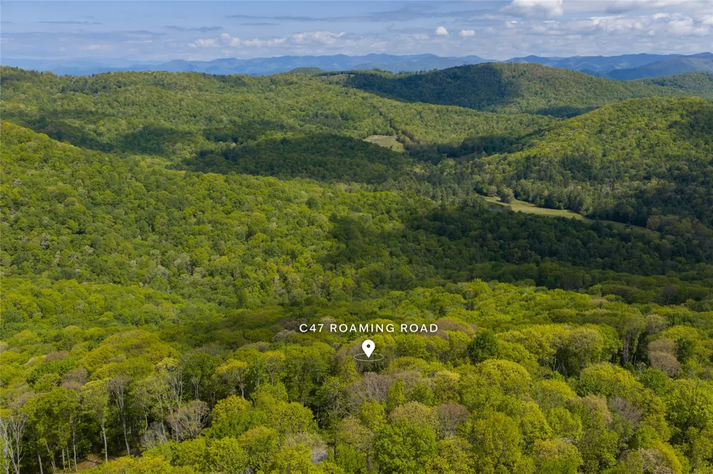 C47 Roaming Road Glenville, NC 28736
