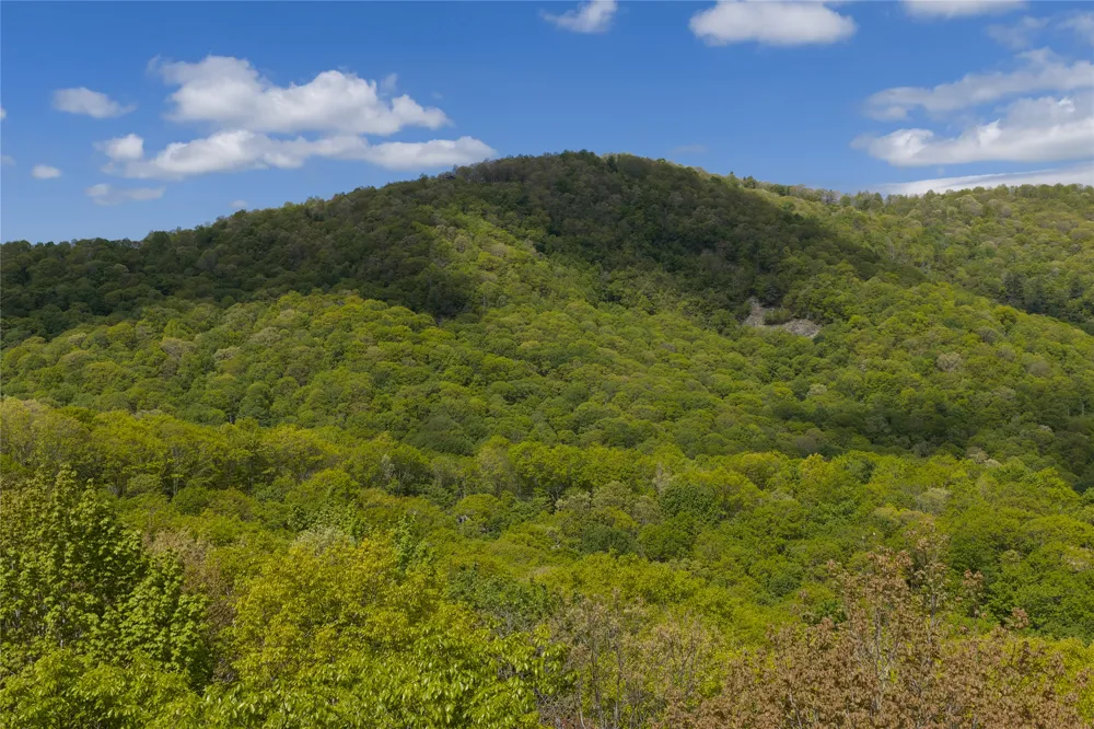 C47 Roaming Road Glenville, NC 28736