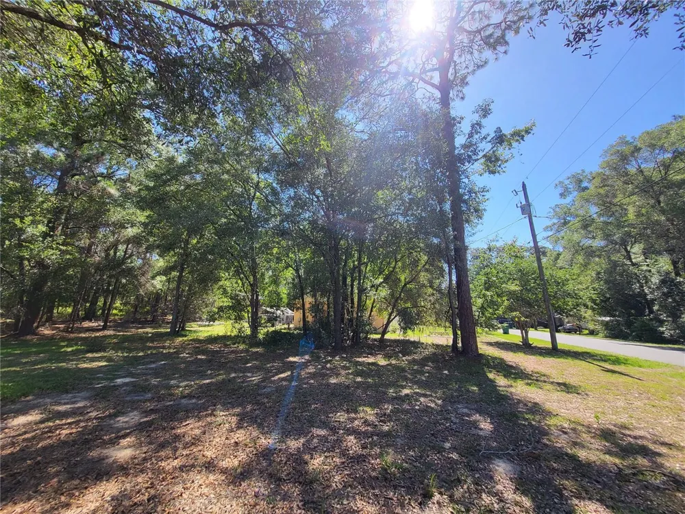 6491 E LOWDEN STREET Inverness, FL 34452