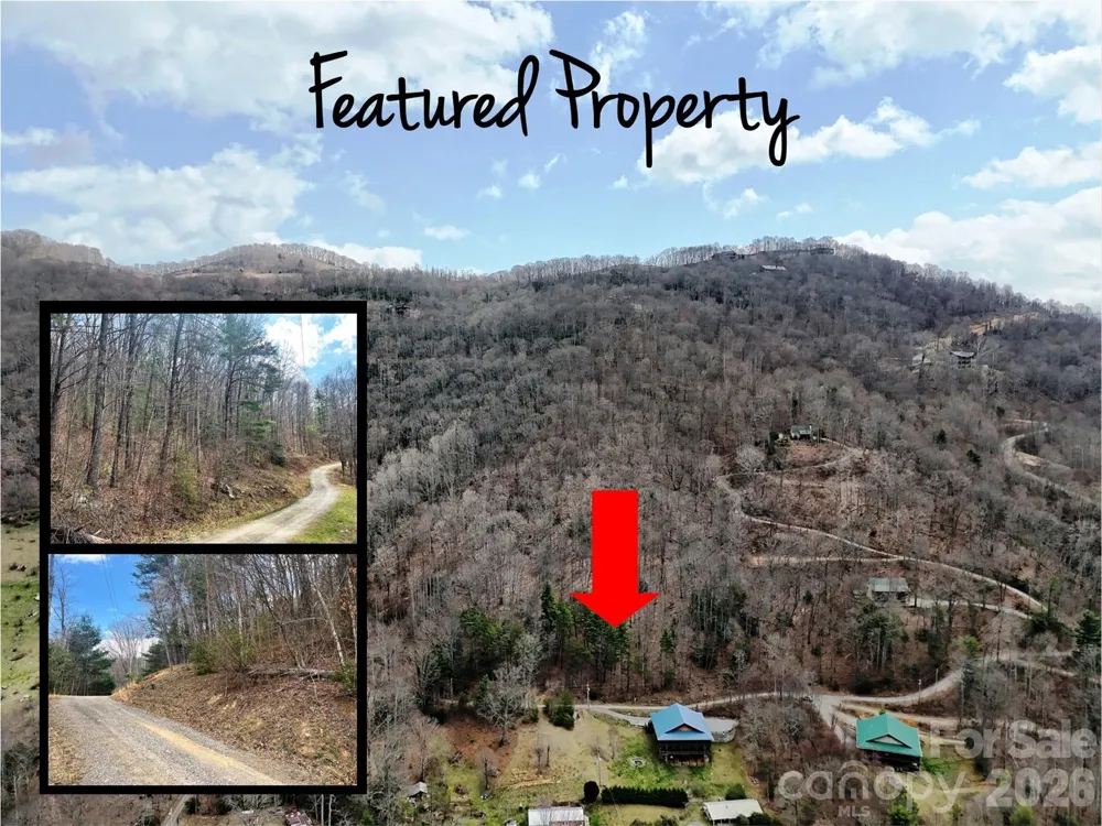TBD Moonbeam Lane #101,102 Clyde, NC 28721