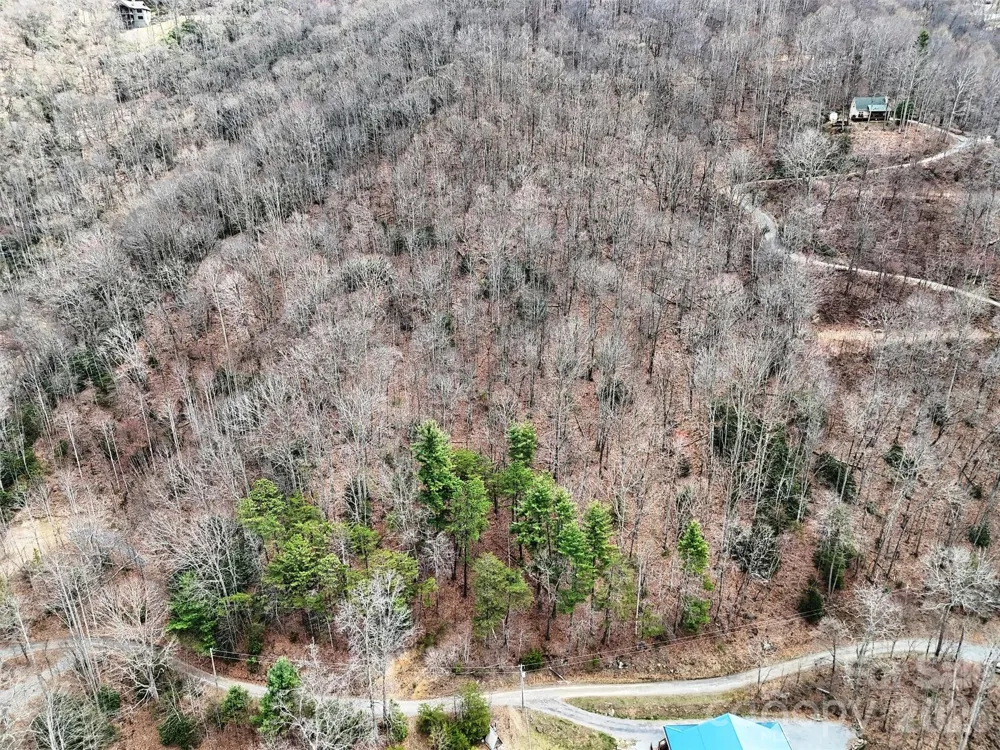 TBD Moonbeam Lane #101,102 Clyde, NC 28721