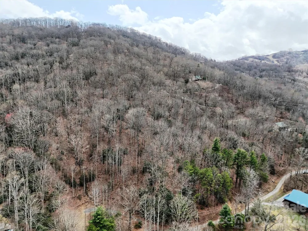 TBD Moonbeam Lane #101,102 Clyde, NC 28721