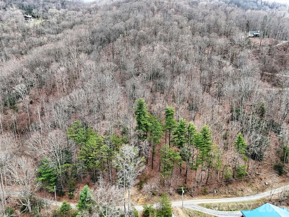 TBD Moonbeam Lane #101,102 Clyde, NC 28721