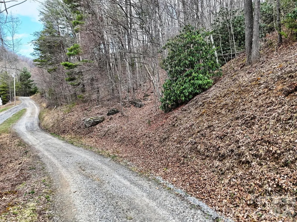 TBD Moonbeam Lane #101,102 Clyde, NC 28721