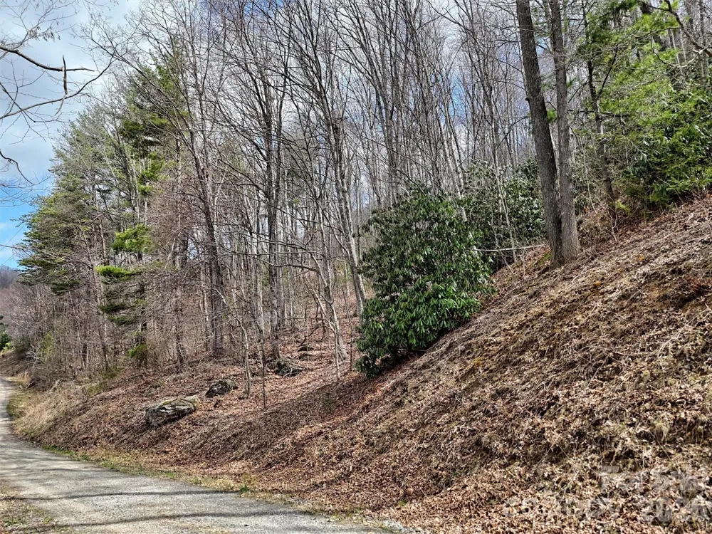 TBD Moonbeam Lane #101,102 Clyde, NC 28721