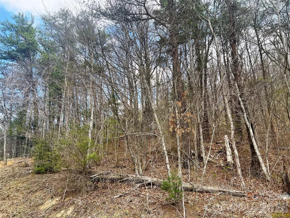 TBD Moonbeam Lane #101,102 Clyde, NC 28721