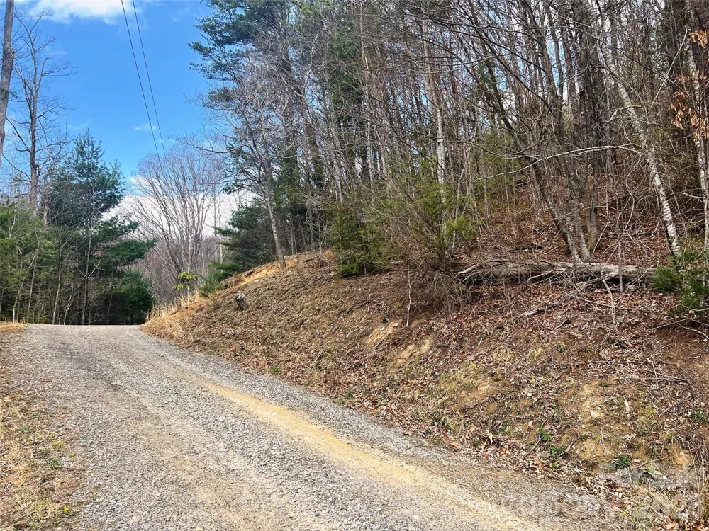 TBD Moonbeam Lane #101,102 Clyde, NC 28721
