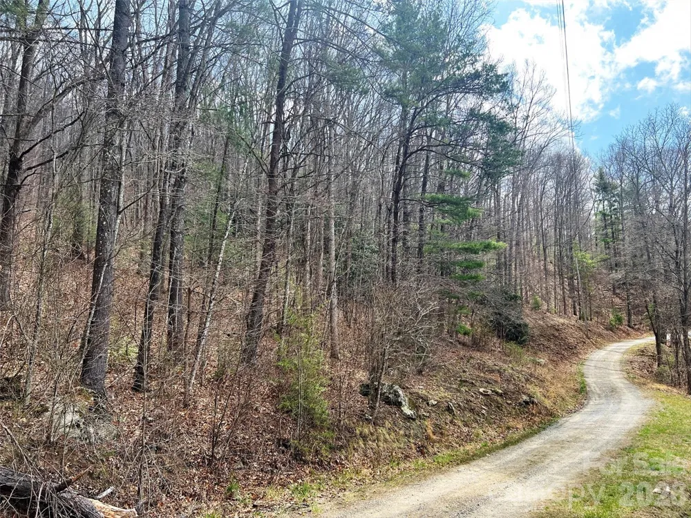 TBD Moonbeam Lane #101,102 Clyde, NC 28721