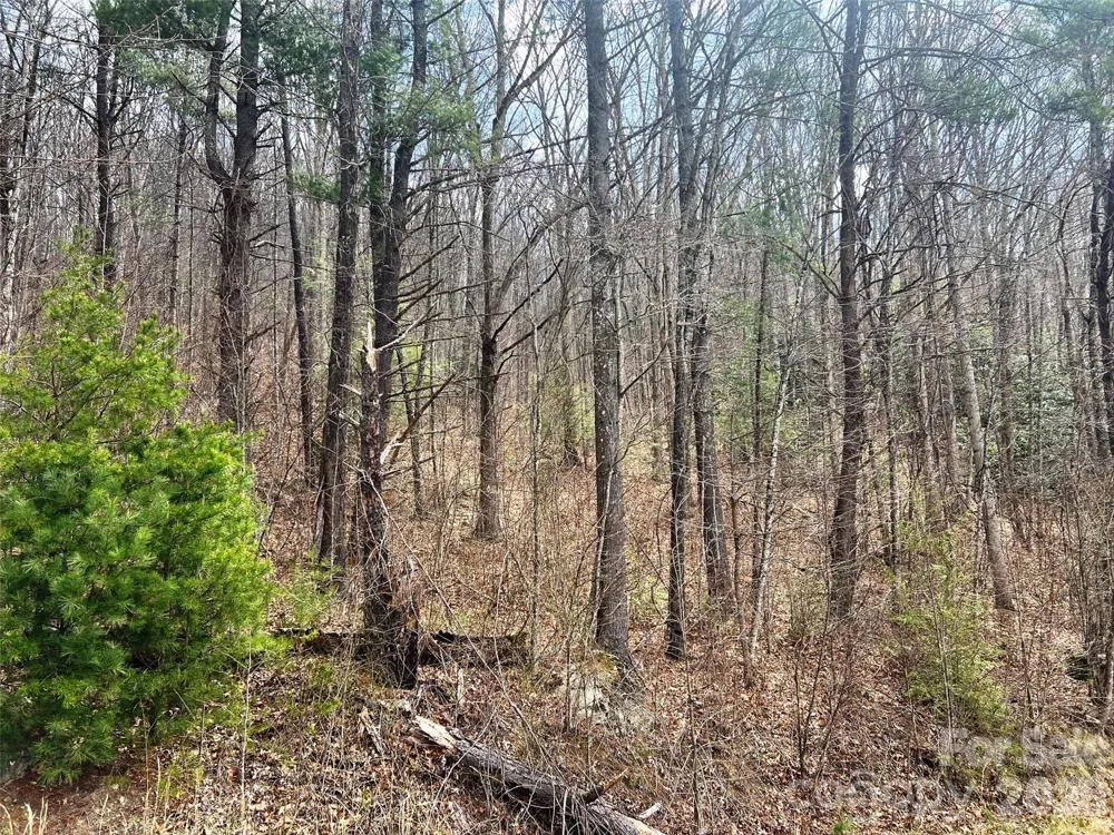 TBD Moonbeam Lane #101,102 Clyde, NC 28721
