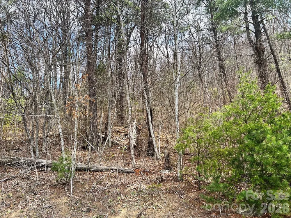 TBD Moonbeam Lane #101,102 Clyde, NC 28721