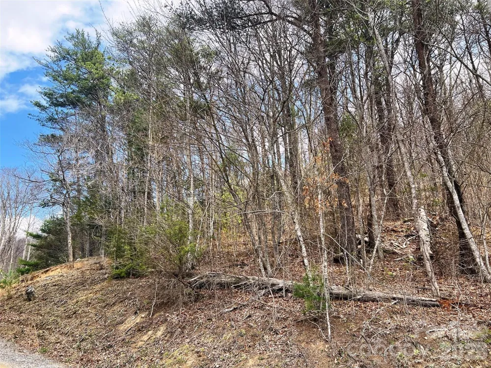 TBD Moonbeam Lane #101,102 Clyde, NC 28721