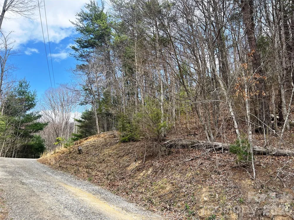 TBD Moonbeam Lane #101,102 Clyde, NC 28721
