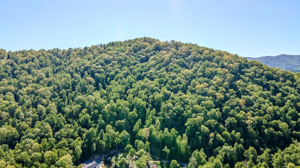 Coman Rd Franklin, NC 28734