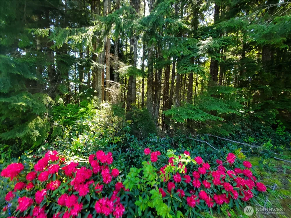 0 Bayview Lane Hoquiam, WA 98550