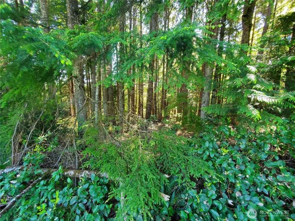 0 Bayview Lane Hoquiam, WA 98550