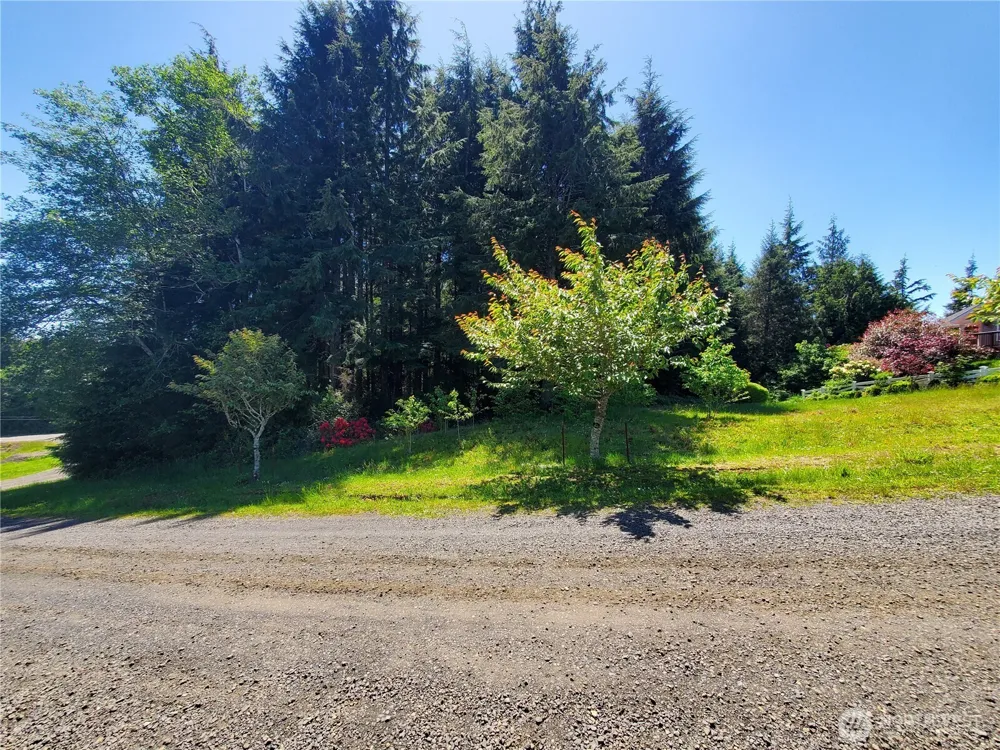 0 Bayview Lane Hoquiam, WA 98550