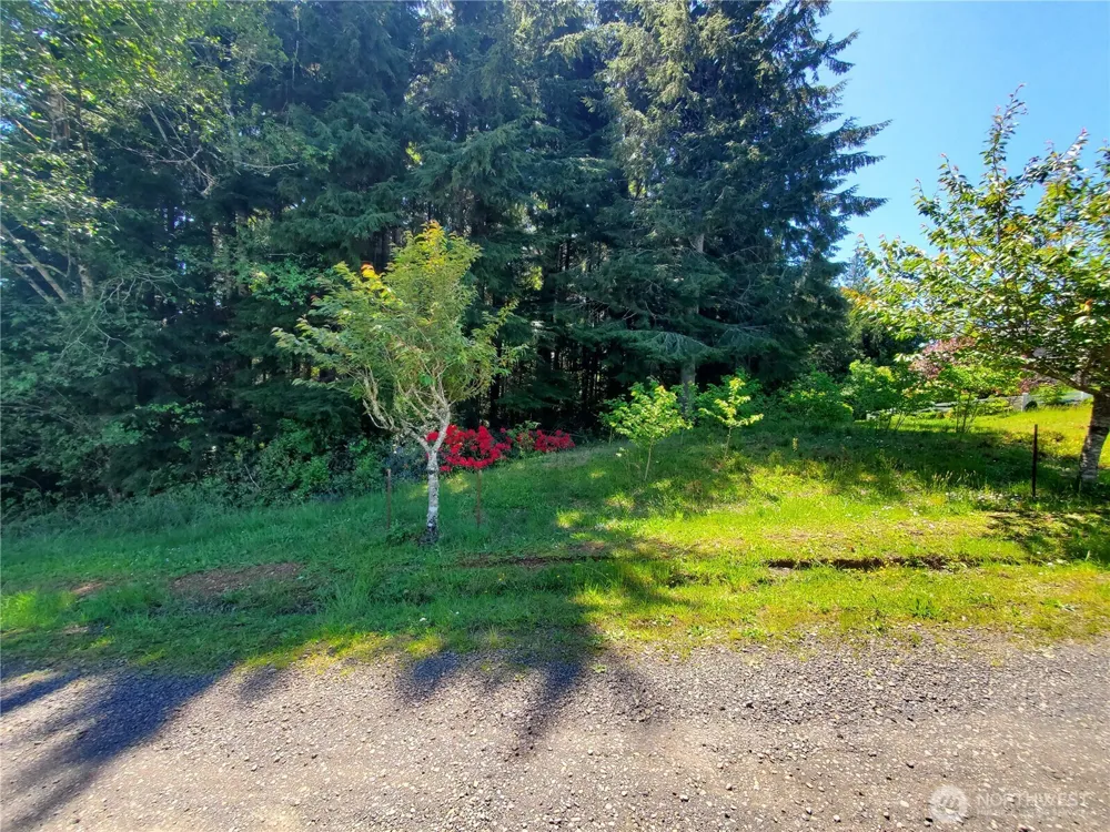 0 Bayview Lane Hoquiam, WA 98550