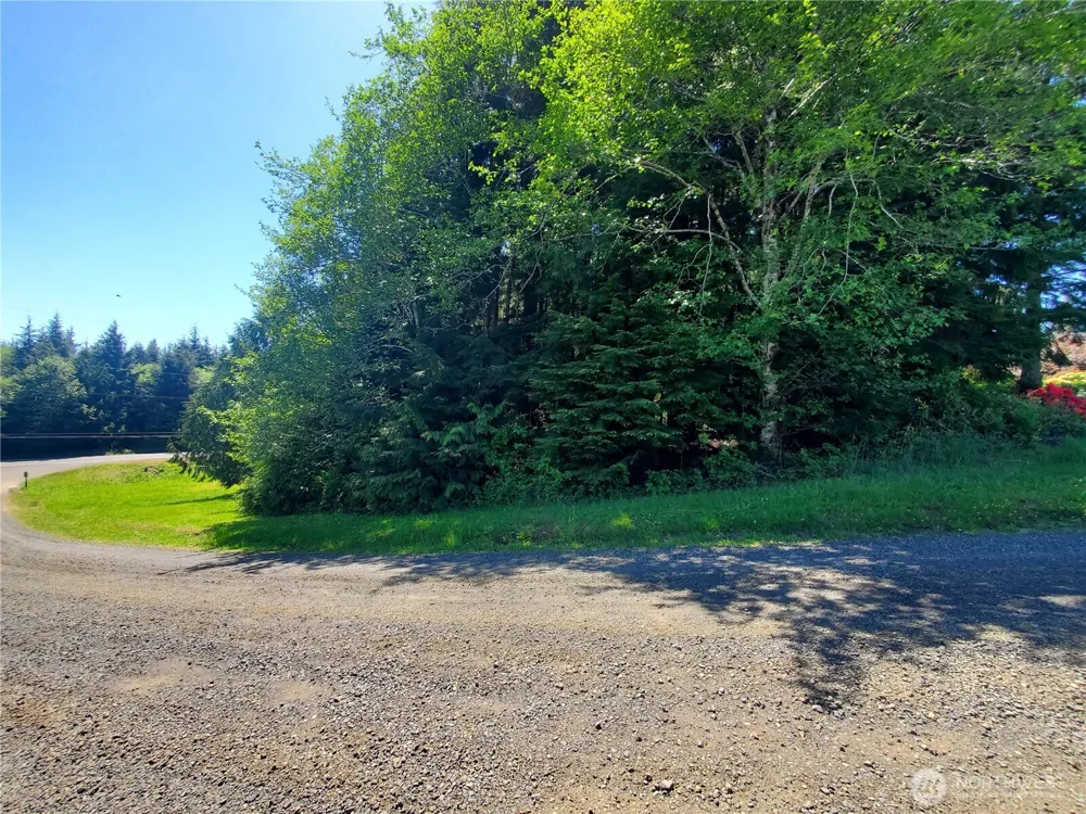0 Bayview Lane Hoquiam, WA 98550