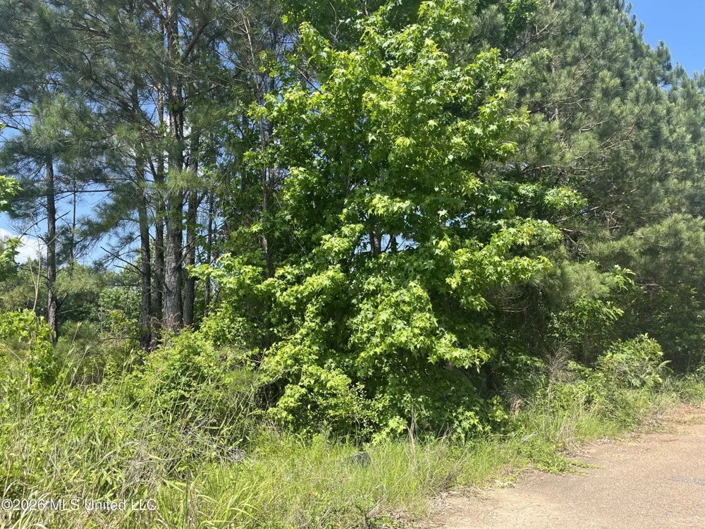 College Hill Drive Jackson, MS 39209