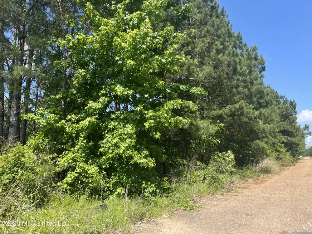 College Hill Drive Jackson, MS 39209