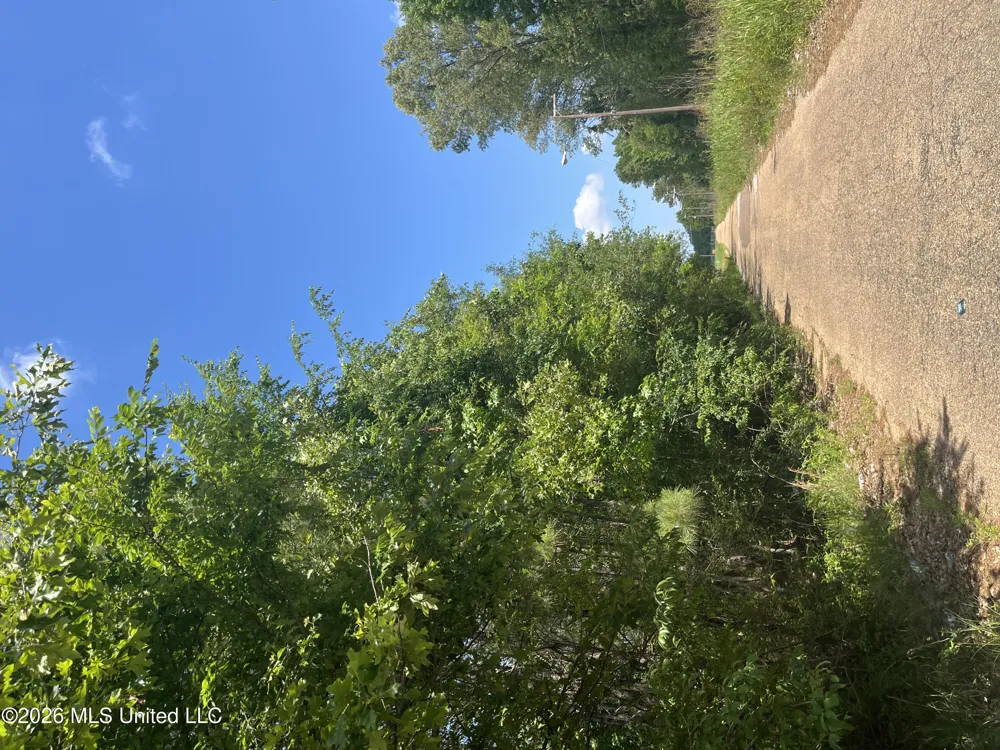 College Hill Drive Jackson, MS 39209