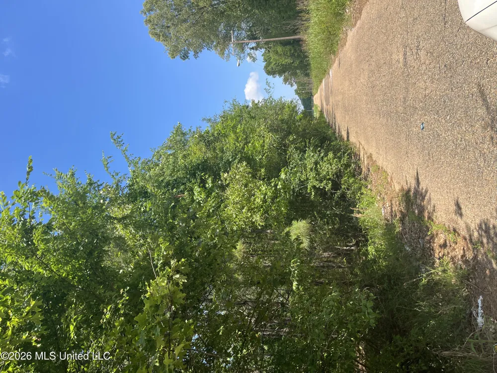 College Hill Drive Jackson, MS 39209