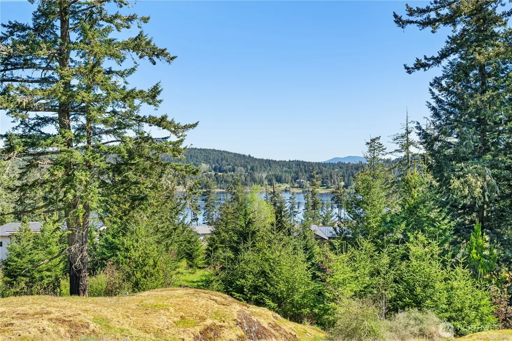 0 Woodpecker Ln Friday Harbor, WA 98250