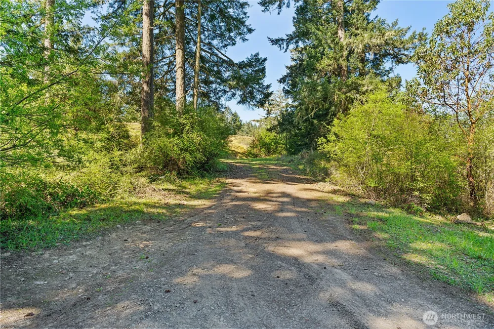 0 Woodpecker Ln Friday Harbor, WA 98250