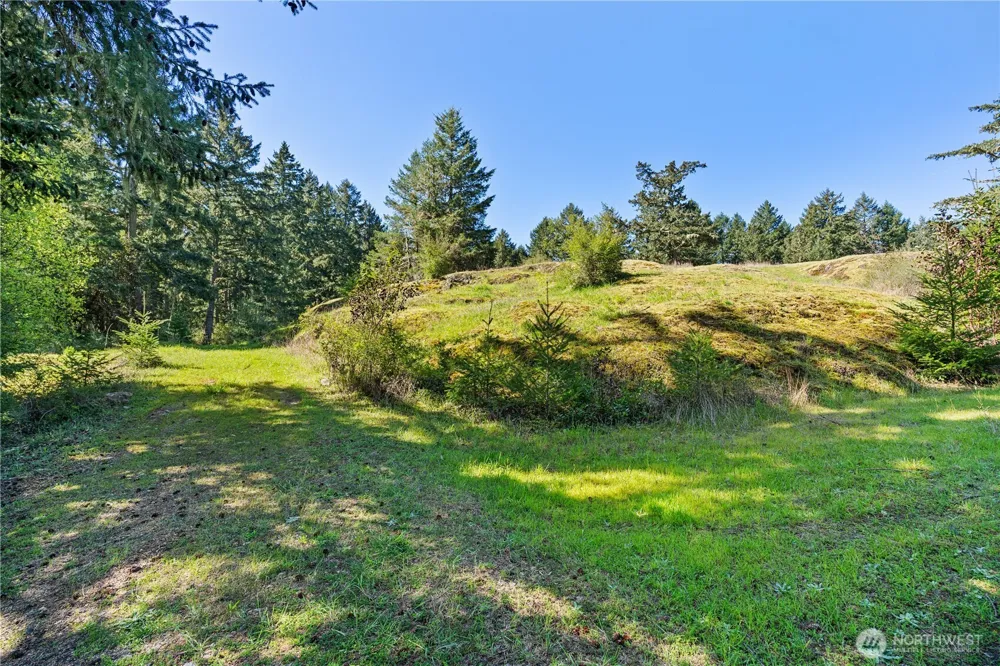 0 Woodpecker Ln Friday Harbor, WA 98250