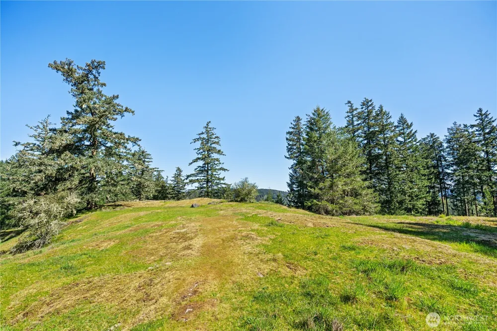 0 Woodpecker Ln Friday Harbor, WA 98250