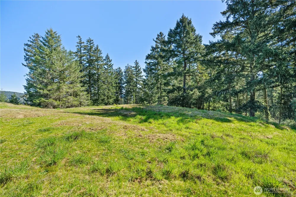 0 Woodpecker Ln Friday Harbor, WA 98250