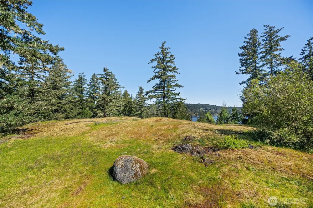 0 Woodpecker Ln Friday Harbor, WA 98250