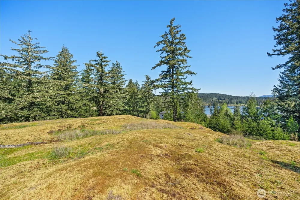 0 Woodpecker Ln Friday Harbor, WA 98250