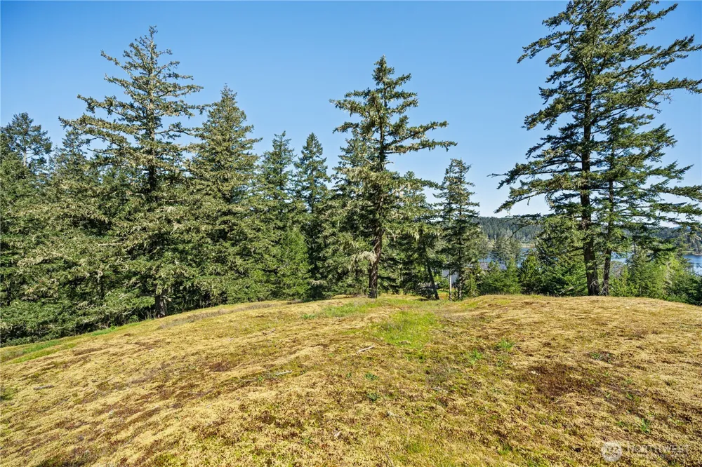0 Woodpecker Ln Friday Harbor, WA 98250
