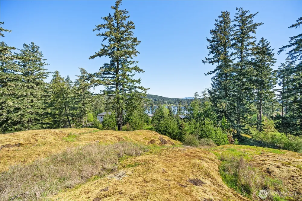 0 Woodpecker Ln Friday Harbor, WA 98250