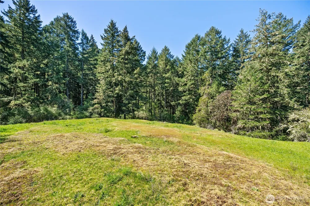 0 Woodpecker Ln Friday Harbor, WA 98250