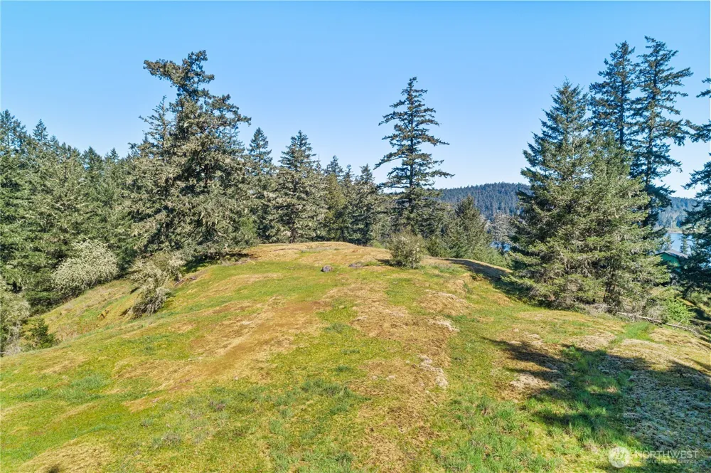 0 Woodpecker Ln Friday Harbor, WA 98250