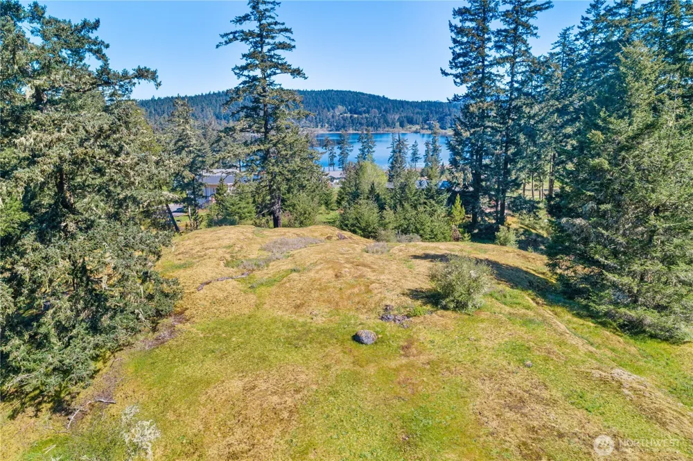 0 Woodpecker Ln Friday Harbor, WA 98250