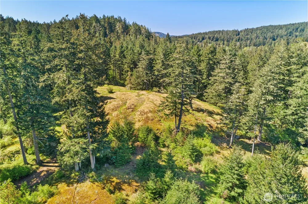 0 Woodpecker Ln Friday Harbor, WA 98250