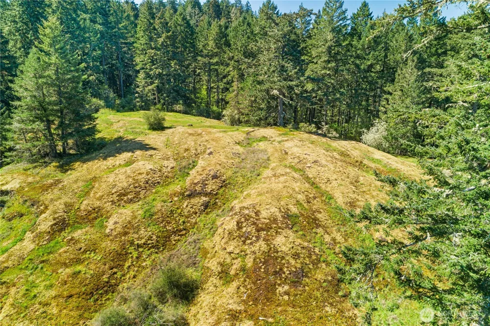 0 Woodpecker Ln Friday Harbor, WA 98250