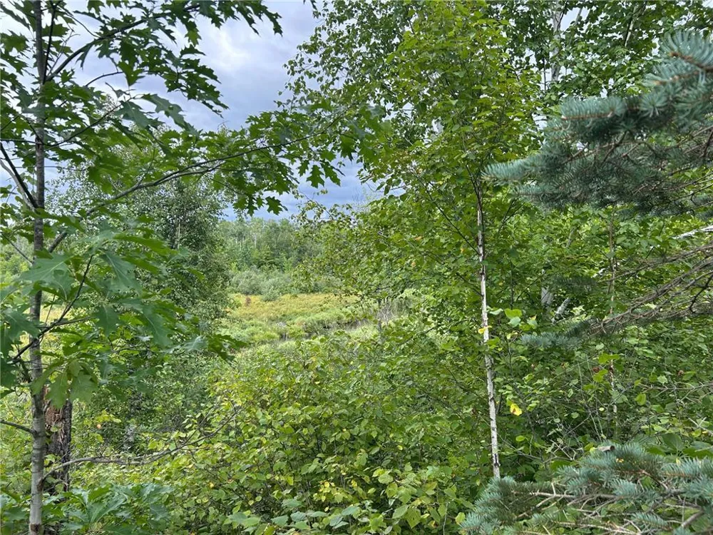 TBD2 Duncan Road Sandstone, MN 55072