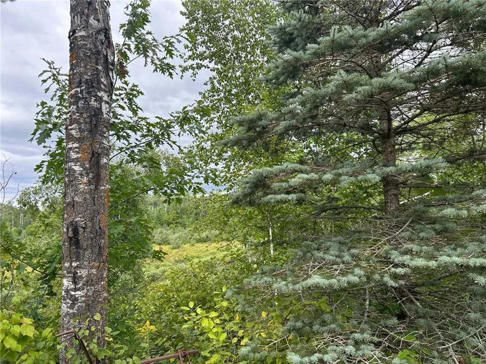 TBD2 Duncan Road Sandstone, MN 55072