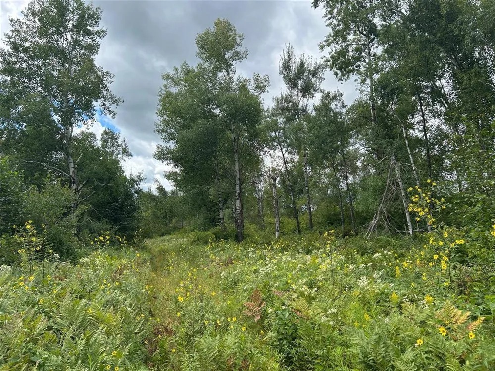 TBD2 Duncan Road Sandstone, MN 55072